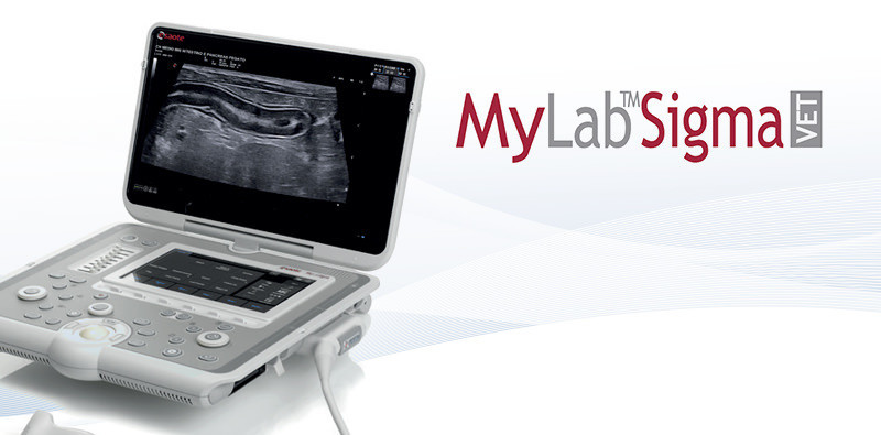 MyLab<sup>™</sup>SigmaVET