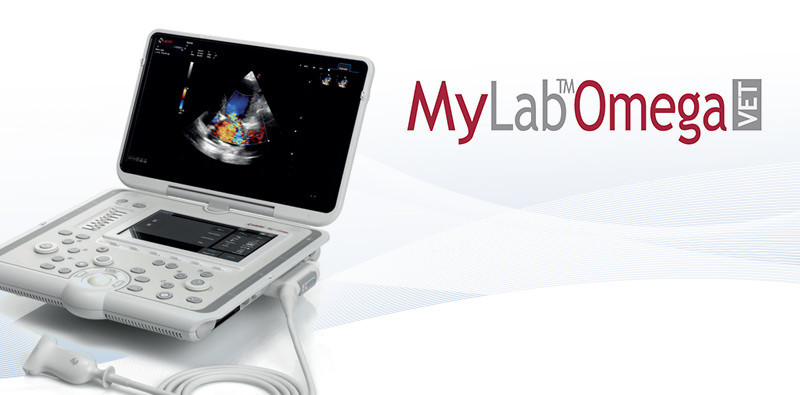 MyLab<sup>™</sup>OmegaVET