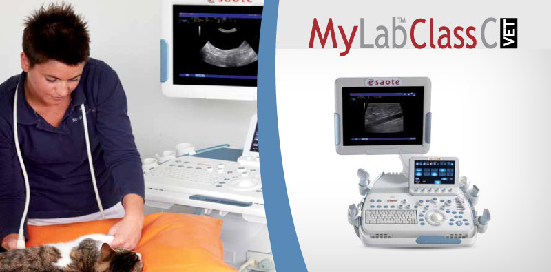 MyLab<sup>™</sup>ClassCVET