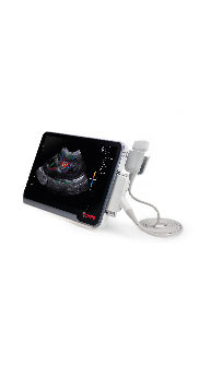 MyLab<sup>™</sup>X1VET