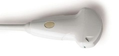 CA431 VET