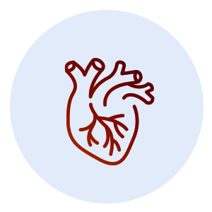 Suitestensa Cathlab