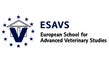 esavs esaote ultrasound mri