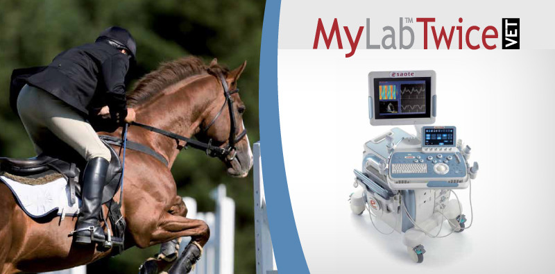 MyLab<sup>™</sup>TwiceVET
