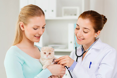 The Voice of Your Vet Colleague