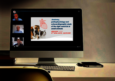 Anatomy, pathophysiology and echocardiographic study of the right ventricle in small animals