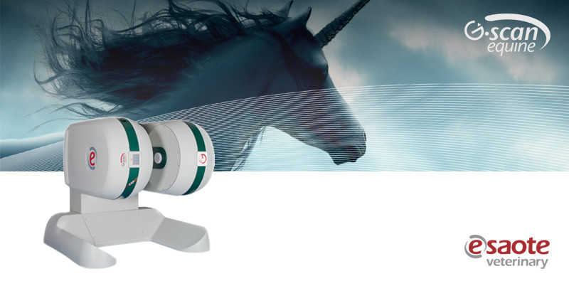 G-scan equine