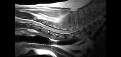 Clinical Image - Vet-MR Grande