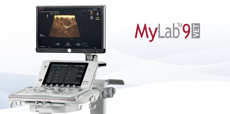MyLab<sup>™</sup>9VET