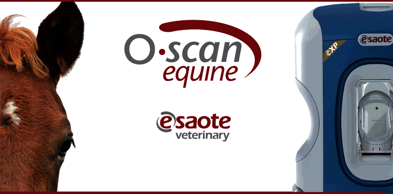 O-scan equine