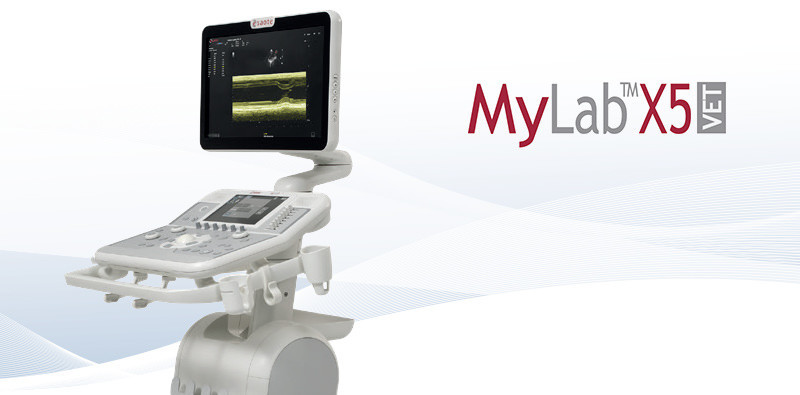 MyLab<sup>™</sup>X5VET