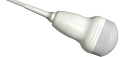 BC441 VET