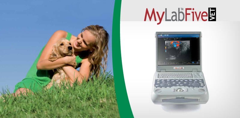MyLab<sup>™</sup>FiveVET