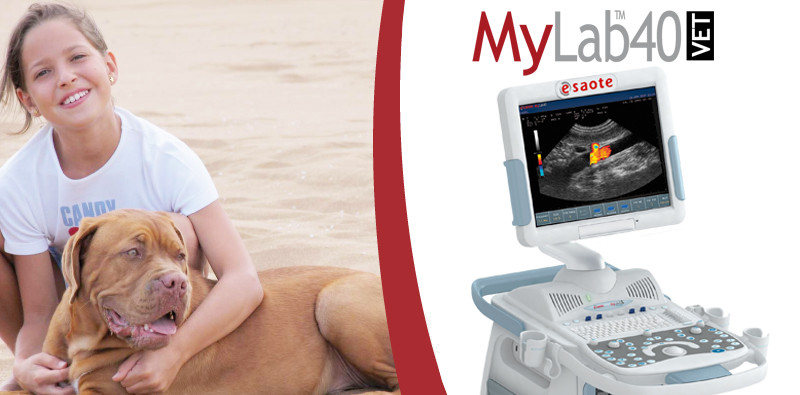 MyLab<sup>™</sup>40VET