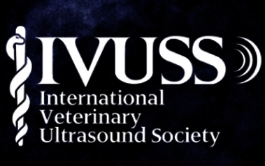 Ultrasound And Mri Medical Diagnostic Systems Esaote