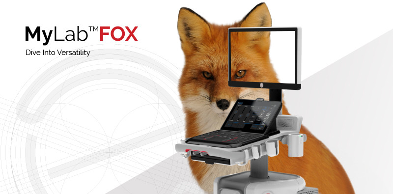 MyLab<sup>™</sup>FOX