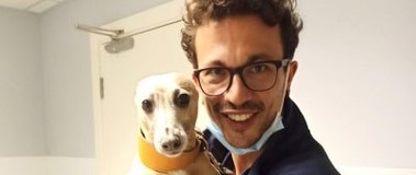 Canine ultrasonography