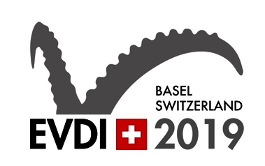 EVDI 2019