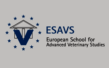 ESAVS Teaching Course 2019