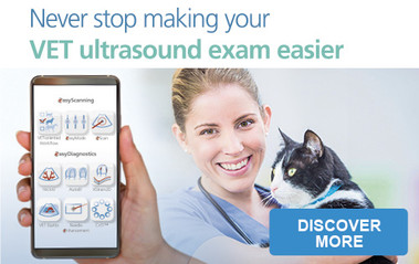 VET Leaflet