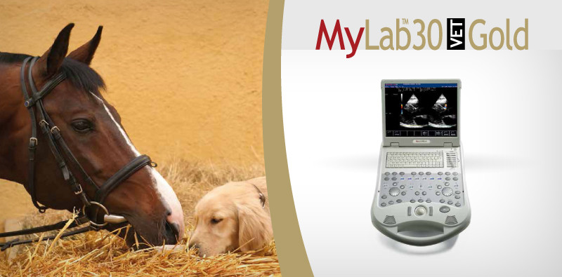 MyLab<sup>™</sup>30GoldVET