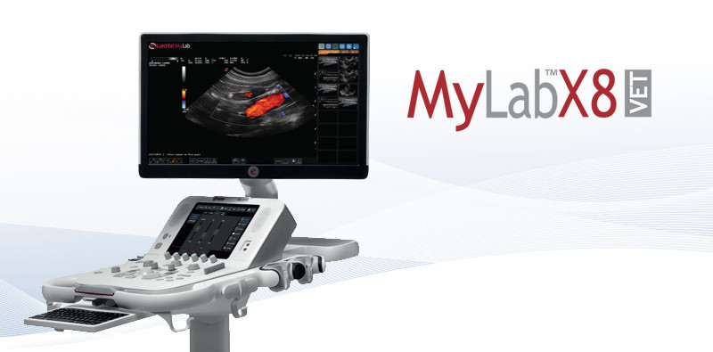 MyLab<sup>™</sup>X8VET