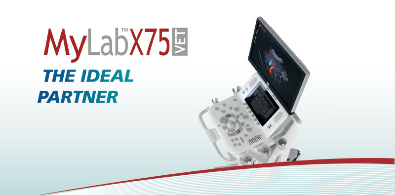 MyLab<sup>™</sup>X75VET