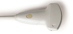 CA621 VET