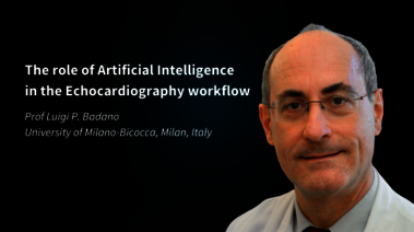 The role of Artificial Intelligence in the Echocardiography workflow