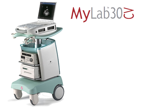 Download Esaote Mylab 25 Service Manual Free Download Esaote Mylab 25 Service Manual Free
