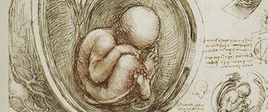 L’arte di fare ricerca. Il pensiero laterale al servizio della diagnosi