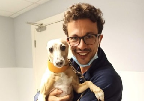 Canine ultrasonography