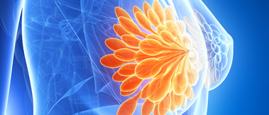 Breast Imaging
