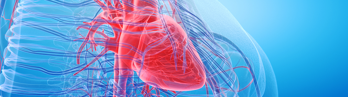 Healthcare IT Cardiovascular
