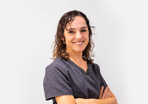 Canine ultrasonography