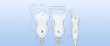 Control and prevention of the risk of possible infections from ultrasound systems and probes