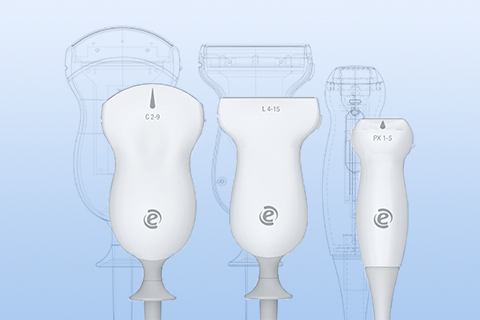 Control and prevention of the risk of possible infections from ultrasound systems and probes