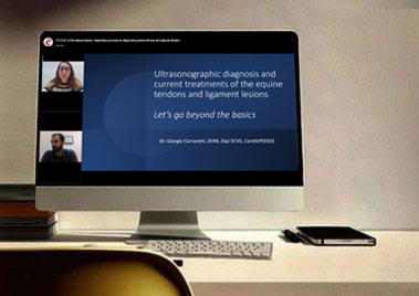 Ultrasonographic diagnosis and current treatments of the equine tendons and ligament lesions. Let’s go beyond the basics.