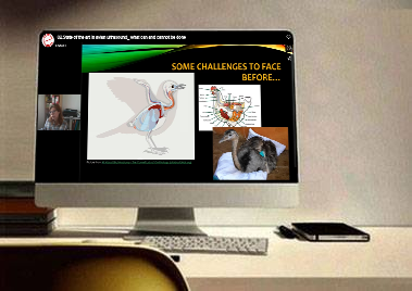 State of the art in avian ultrasound: what can and cannot be done