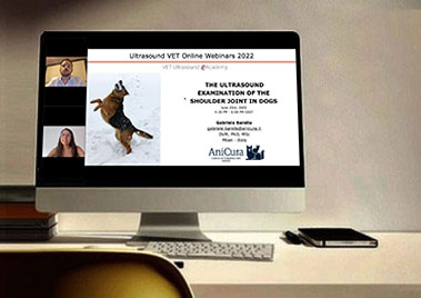 Ultrasound examination of the shoulder joint in dogs