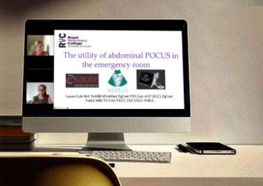 Usefulness of abdominal POCUS in the emergency room