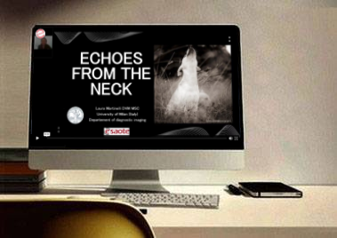 Echoes from the neck: what’s inside and case studies.
