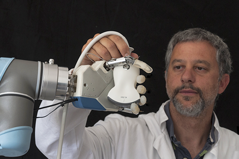 Pulse-echo test for medical imaging