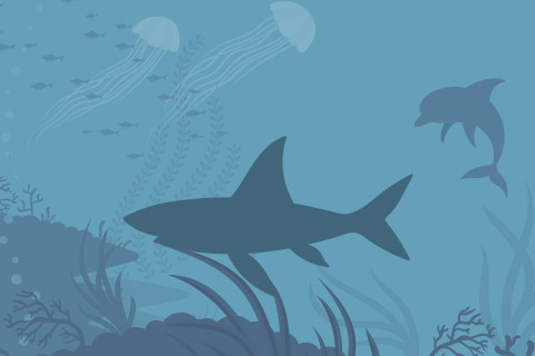 Fish Leadership