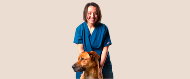 Canine ultrasonography