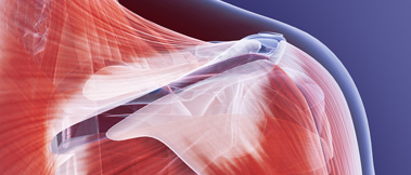 MSK Imaging