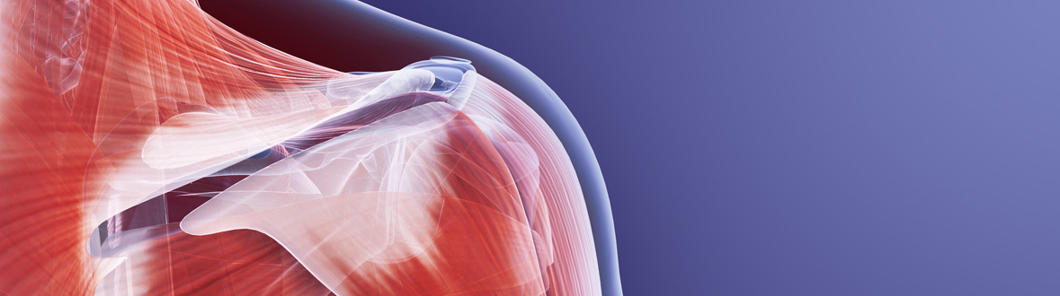 msk imaging