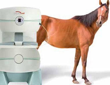 VET MRI