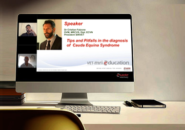 Tips and Pitfalls in the diagnosis of Cauda Equina Syndrome