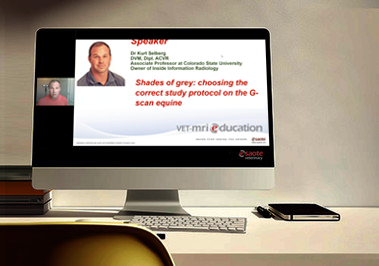 Shades of grey: choosing the correct study protocol on the G-scan equine